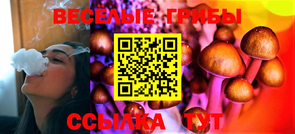 Галлюциногенные грибы Psilocybe Павлово